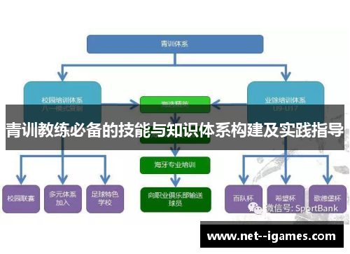 青训教练必备的技能与知识体系构建及实践指导 青训教练必备的技能与知识体系构建及实践指导