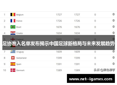 足协准入名单发布揭示中国足球新格局与未来发展趋势