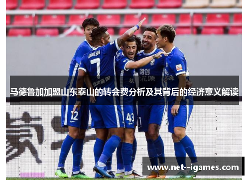 马德鲁加加盟山东泰山的转会费分析及其背后的经济意义解读